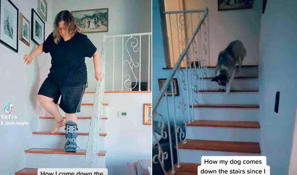 El divertido comportamiento de este perrito se hizo viral en redes sociales. Foto: captura de TikTok / @ash_laughs31 El divertido comportamiento de este perrito se hizo viral en redes sociales. Foto: captura de TikTok / @ash_laughs31