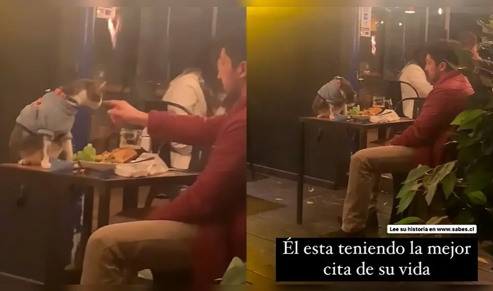 La dupla conmovió en las redes por mostrar su compañerismo en su tierna salida. Foto: composición LR/captura de Instagram/@raven_tattoos La dupla conmovió en las redes por mostrar su compañerismo en su tierna salida. Foto: composición LR/captura de Instagram/@raven_tattoos