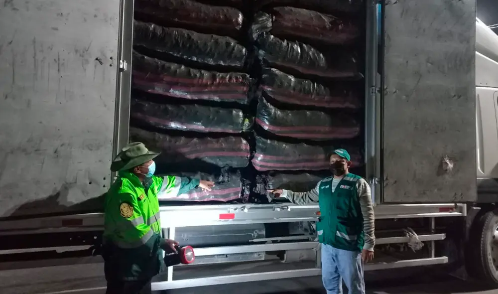 La ATFFS Lambayeque inició el procedimiento administrativo sancionador. Foto: Serfor