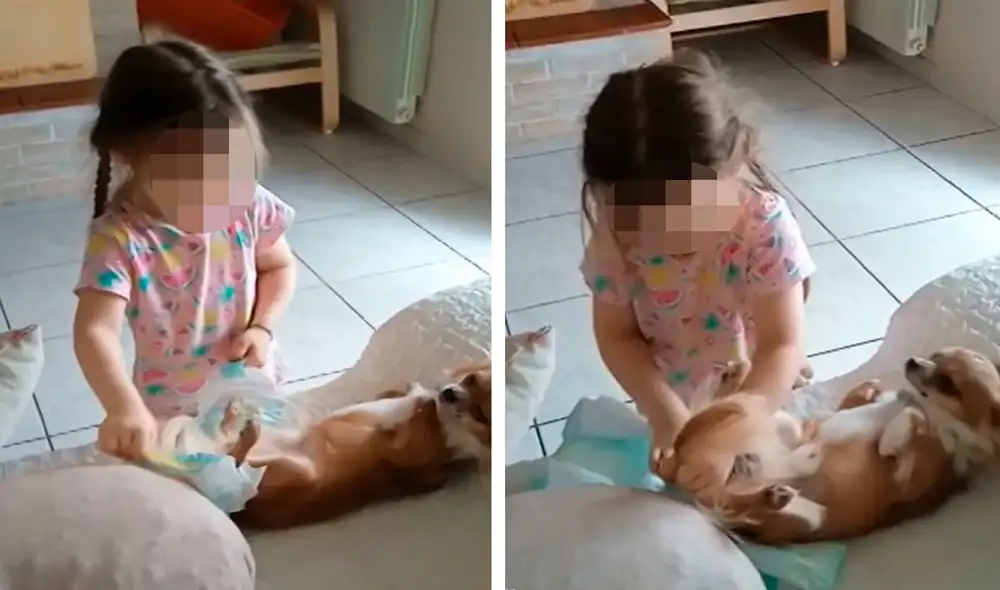 Una mujer dejó a su hija por unos minutos con la compañía de su mascota, pero al regresar se llevó una tierna sorpresa. Foto: composición LR/Facebook