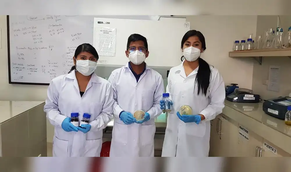 El equipo de investigación de la UCSM espera que las industrias relacionadas con nuevas tecnologías los busquen para poner en práctica su investigación. Foto: URPI/Alexis Choque