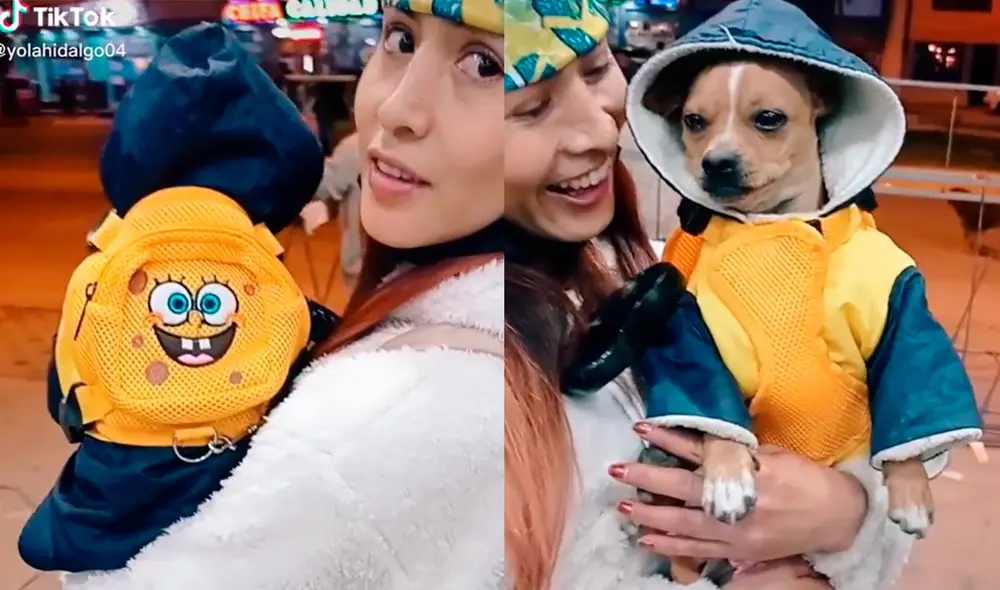 El perrito sorprendió a miles de usuarios con su aspecto parecido al de un niño. Foto: composición LR/ captura de TikTok/ @yolahidalgo04