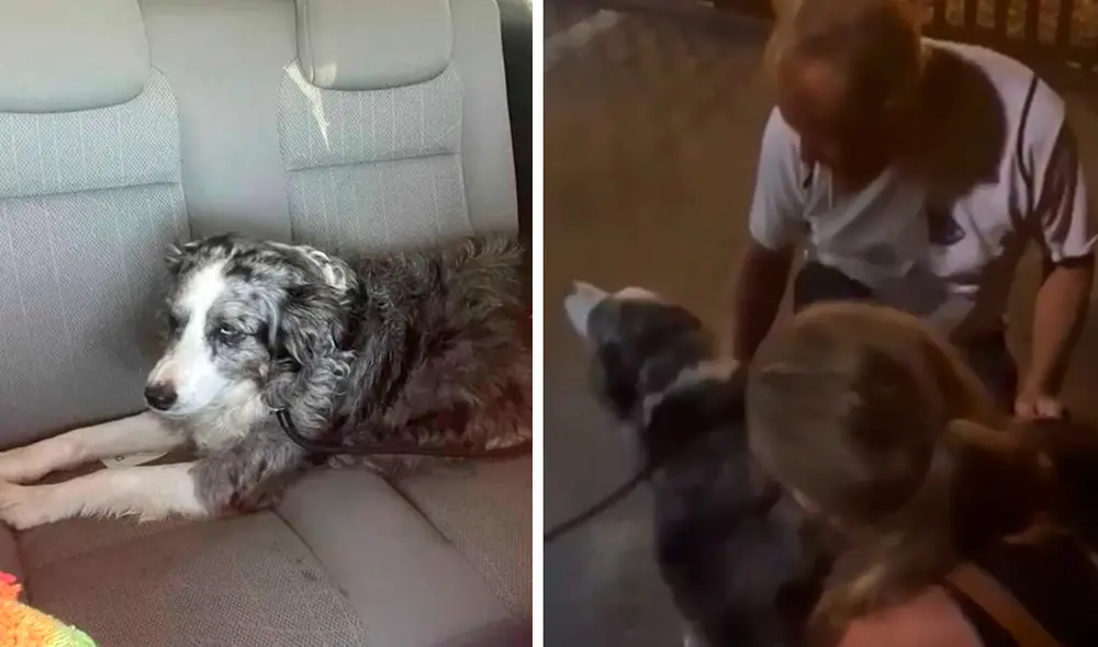 La grabación del reencuentro obtuvo miles de reproducciones y 'me gusta' en redes sociales. Foto: composición LR/captura de YouTube/Nmas La grabación del reencuentro obtuvo miles de reproducciones y 'me gusta' en redes sociales. Foto: composición LR/captura de YouTube/Nmas