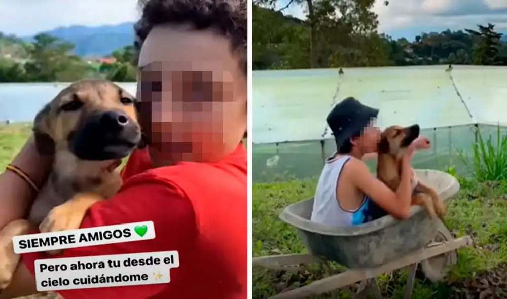 Como un sentido homenaje, el pequeño hizo una recopilación de todos los momentos que pasó al lado de su can. Foto: composición LR / @lagranjadelborrego / TikTok
