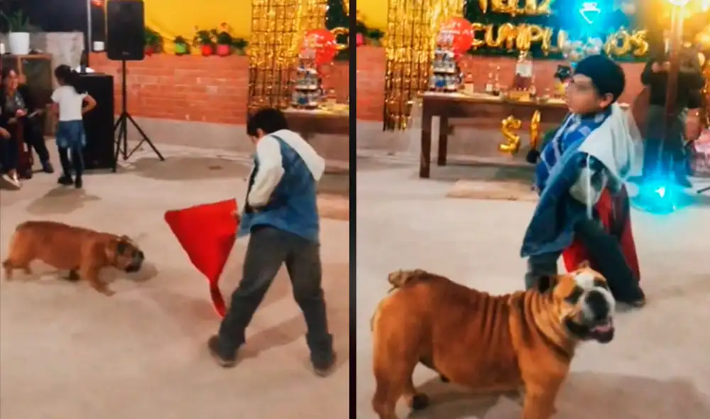 El video ya cuenta con más de 5 mil likes. Foto: composición LR / TikTok: martintin_06 El video ya cuenta con más de 5 mil likes. Foto: composición LR / TikTok: martintin_06