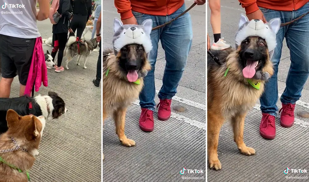 El divertido gorrito sacó más de una sonrisa en los cibernautas. Foto: composición LR/@elinolasco5