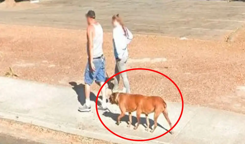 Una pareja salió a pasear con su mascota por los alrededores de un parque, sin imaginar que serían registrados por la cámara de la aplicación. Foto: captura de Google Maps