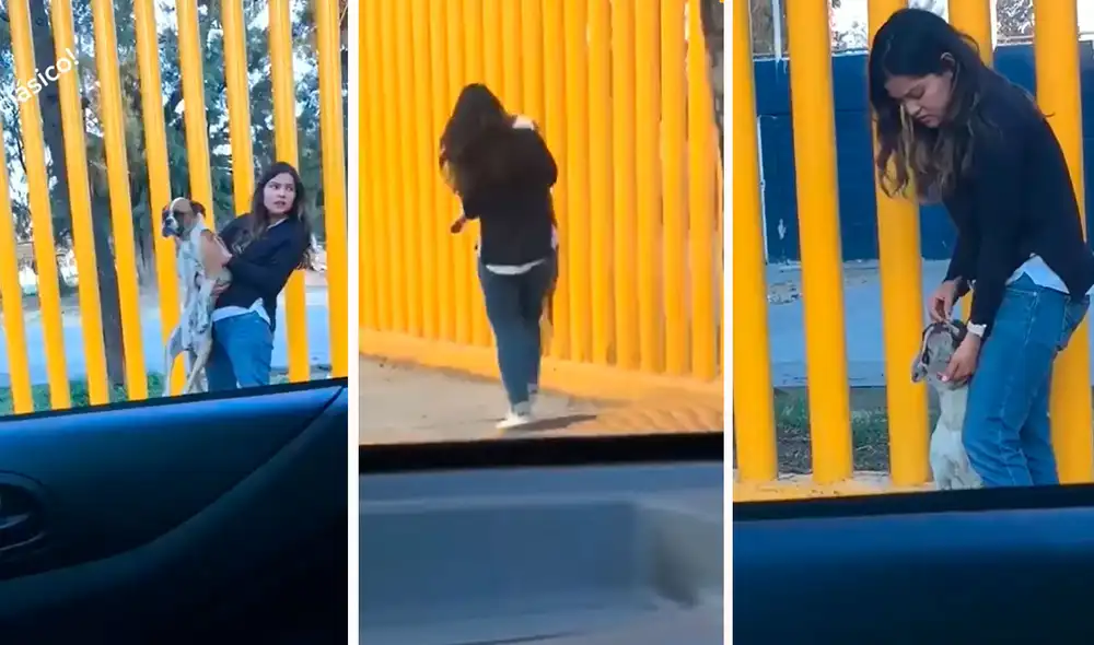 Debido a la desaprobación de su mamá, la joven se bajó del auto para agarrar al animal y trasladarlo a un lugar seguro. Foto: composición de LR/TikTok/@zamorita13