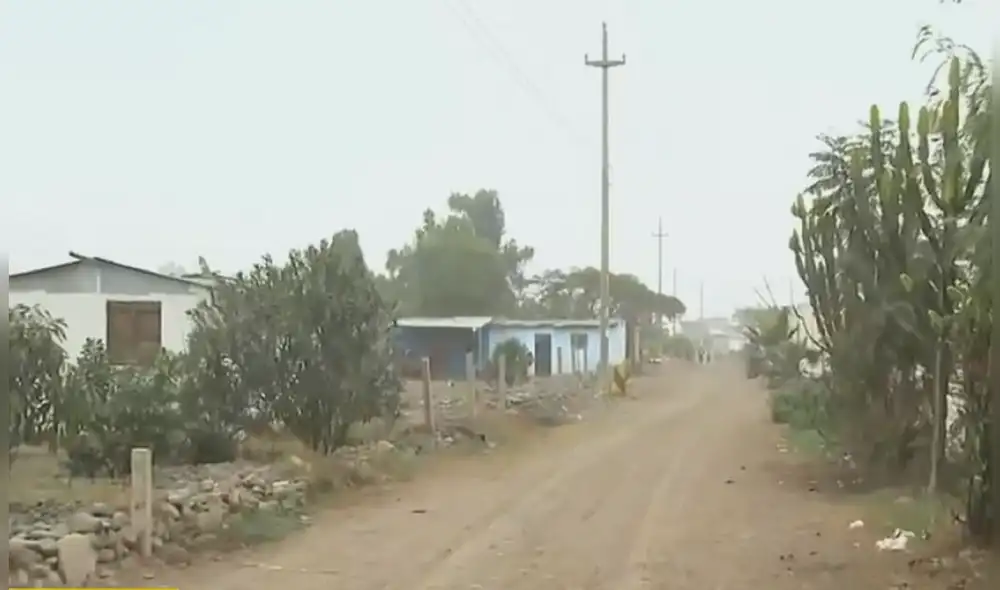 Los profesores renuncian por voluntad propia. Foto: captura de Latina Noticias Los profesores renuncian por voluntad propia. Foto: captura de Latina Noticias