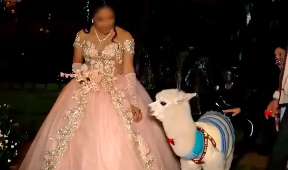 Tayron se volvió toda una estrella de TikTok y cuenta con más de 13.100 seguidores. Foto: América TV