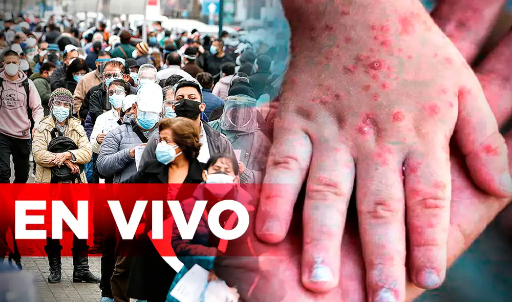 Autoridades sanitarias exhortaron a la población a comunicarse con la Línea 113 si presentan alguno de los síntomas de ambas enfermedades. Foto: composición de Gerson Cardoso/La República Autoridades sanitarias exhortaron a la población a comunicarse con la Línea 113 si presentan alguno de los síntomas de ambas enfermedades. Foto: composición de Gerson Cardoso/La República