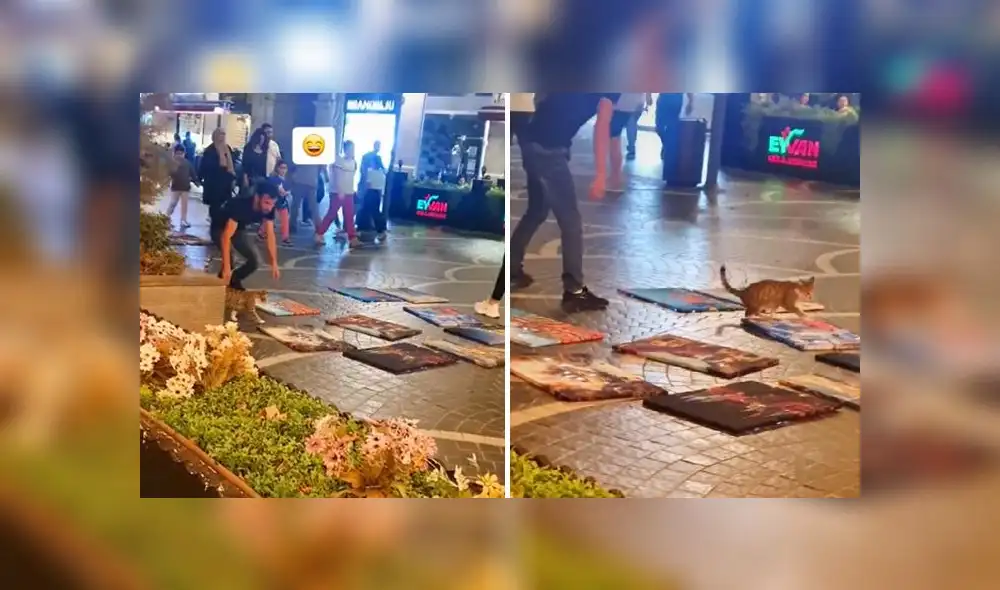 La grabación sumó 1,6 millones de reproducciones en la red social. Foto: composición LR/captura de TikTok/@leanza_291