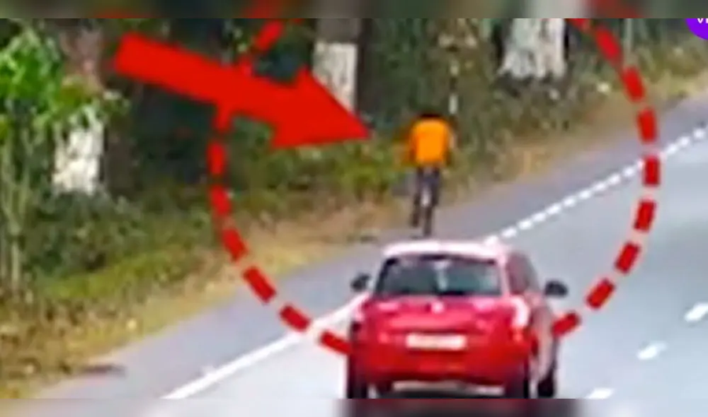 El camino está ubicado al lado de un Parque Nacional. Foto: captura de YouTube El camino está ubicado al lado de un Parque Nacional. Foto: captura de YouTube