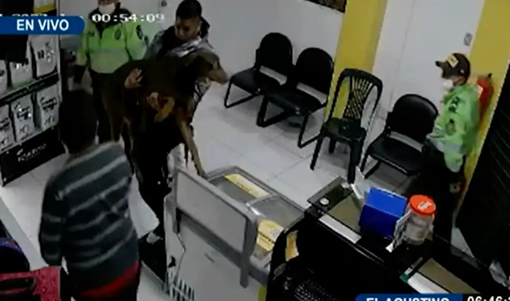 Familia exige que la PNP se haga responsable de los gastos del can. Foto: captura de Panamericana