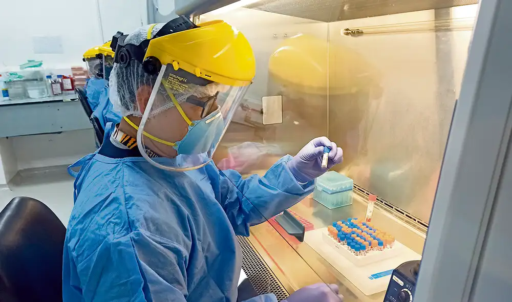 Estudio. Expertos del INS continúan secuenciando las pruebas que resultan positivas. Foto: difusión Estudio. Expertos del INS continúan secuenciando las pruebas que resultan positivas. Foto: difusión