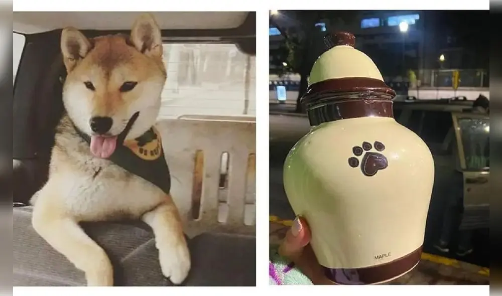 La triste situación se volvió viral en redes sociales. Foto: @adriwarhol/Instagram