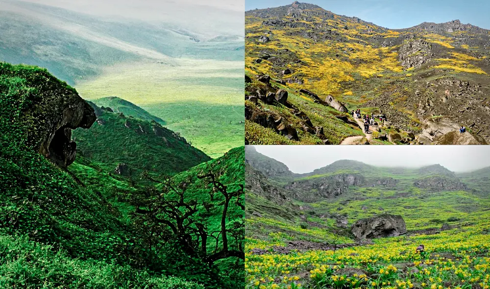 Agenda una visita a esta zona limeña. Foto: Andina/Gob.pe/Sernanp/composición de Jazmín Ceras/La República