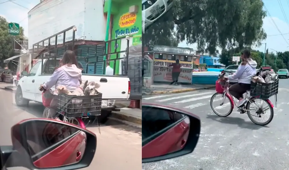 La joven recibió los aplausos de los usuarios por pensar en todas sus mascotas y llevarlas a pasear. Foto: composición LR/captura de TikTok/@fashiononlinevalentina