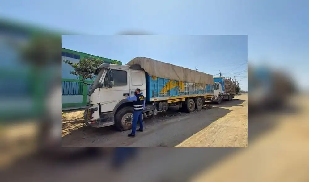 Operativo se ejecutó luego de la emisión de una medida cautelar de incautación de bienes. Foto: PNP Operativo se ejecutó luego de la emisión de una medida cautelar de incautación de bienes. Foto: PNP