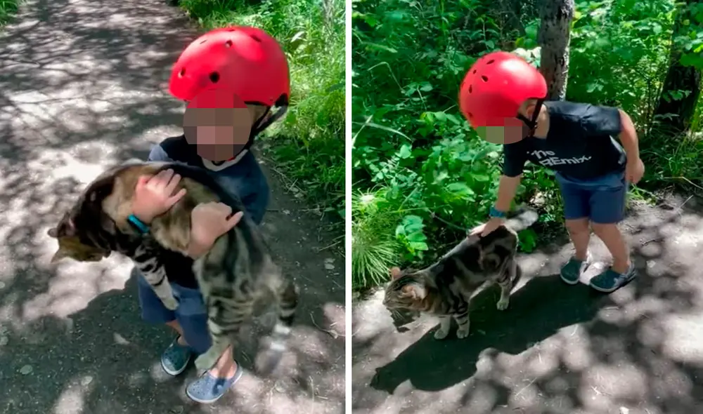La pareja le explicó a su hijo que el animal ya tenía dueños y parecía perdido, debido a que llevaba un collar en su cuello. Foto: composición de LR/captura de Facebook/Clarín