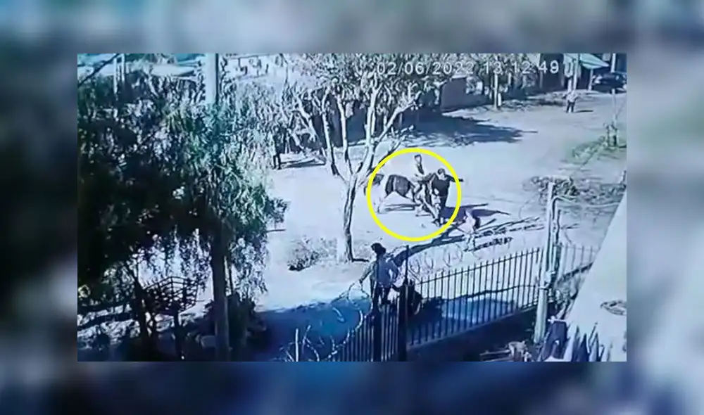 La sobrina de la fallecida inició una campaña para ayudar a los hijos de Fidela. Foto: captura del Clarin La sobrina de la fallecida inició una campaña para ayudar a los hijos de Fidela. Foto: captura del Clarin