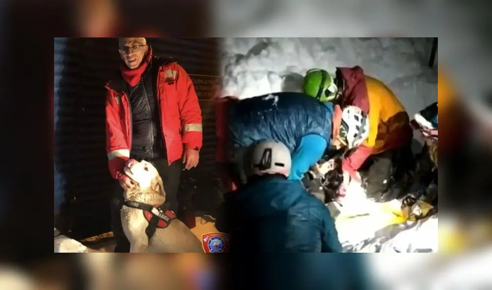El rescate se dio gracias a que Tango marcó el lugar exacto donde estaba enterrado el joven. Foto: Composición/Comisión Auxilio Ushuaia