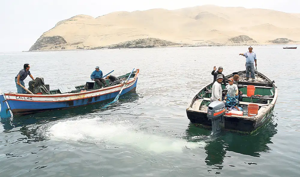 Pesca. Norma actual tiene más de 30 años de vigencia y requiere una actualización. Foto: difusión Pesca. Norma actual tiene más de 30 años de vigencia y requiere una actualización. Foto: difusión