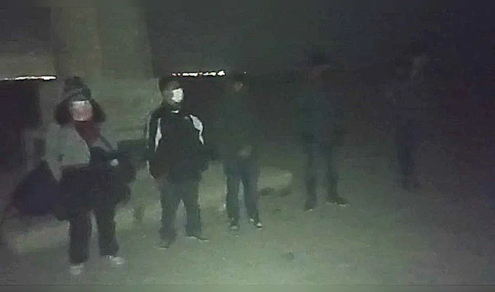 Estos ciudadanos extranjeros señalaron que venían de Tacna y que deseaban ingresar a Chile. Foto: PNP