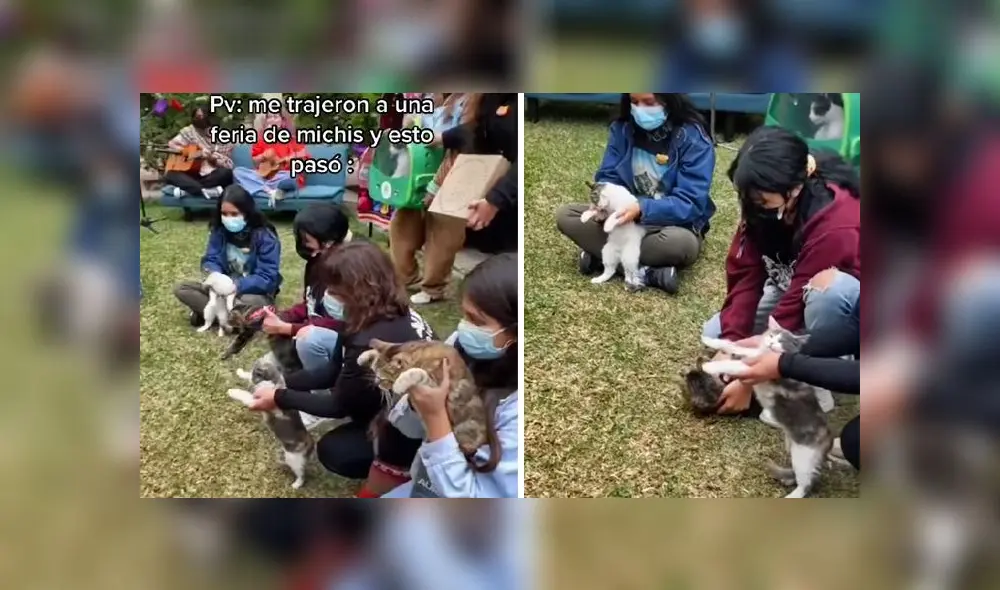 La grabación sumó 142.300 reproducciones en la plataforma de videos. Foto: composición LR/captura de TikTok/@smithsofialeon