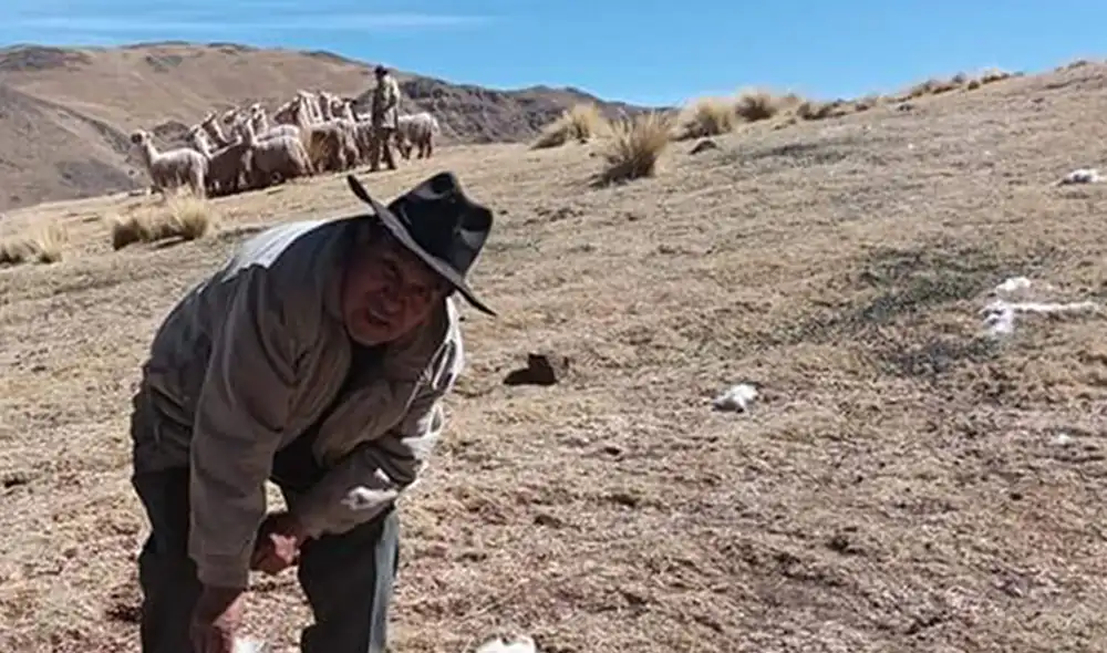 Pobladores temen que otros animales sean atacados. Foto: Cortesía radio Onda Azul Pobladores temen que otros animales sean atacados. Foto: Cortesía radio Onda Azul