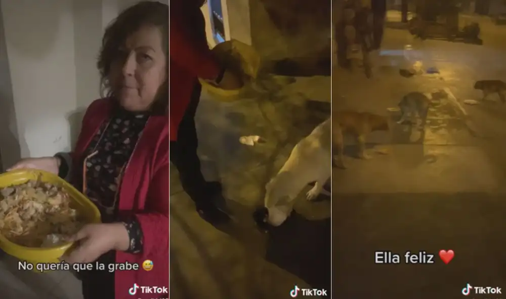 Miles de usuarios han halagado la nobel labor de esta mujer. Foto: composición LR / captura de TikTok / @sadith195 Miles de usuarios han halagado la nobel labor de esta mujer. Foto: composición LR / captura de TikTok / @sadith195