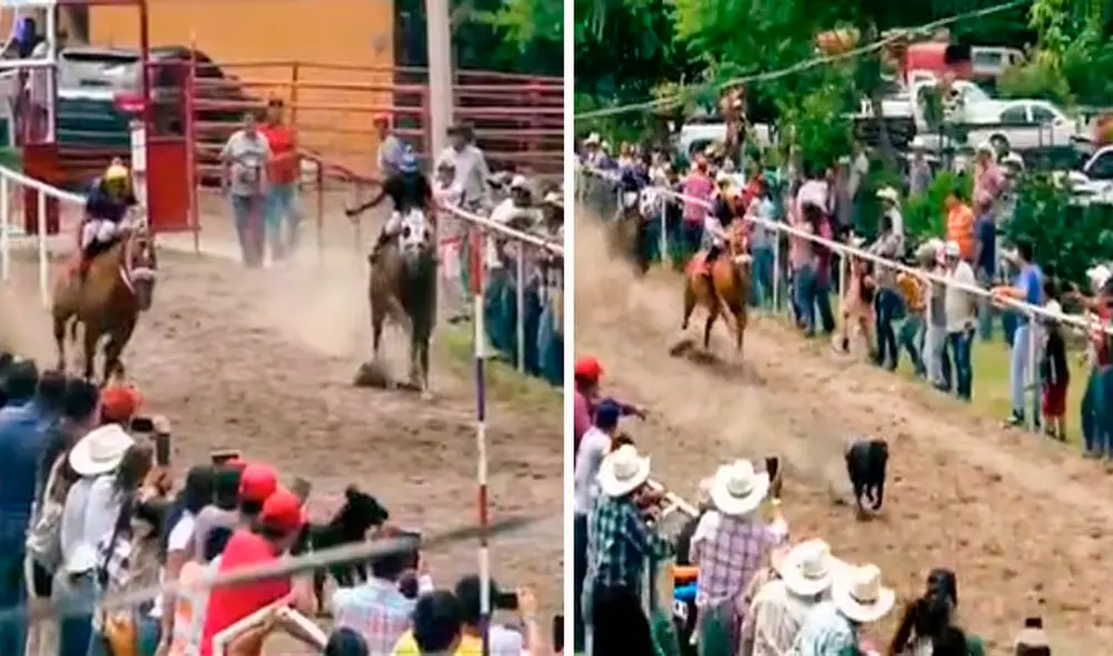 El evento sacó miles de sonrisas, pues más de uno opinó que hubieran apostado por el perro. Foto: composición LR/captura de TikTok/@el_brian_a El evento sacó miles de sonrisas, pues más de uno opinó que hubieran apostado por el perro. Foto: composición LR/captura de TikTok/@el_brian_a