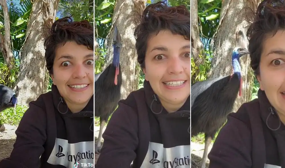 El viral de la joven junto a la peligrosa ave sorprendió millones de cibernautas. Foto: @holasoy.natasha/TikTok El viral de la joven junto a la peligrosa ave sorprendió millones de cibernautas. Foto: @holasoy.natasha/TikTok