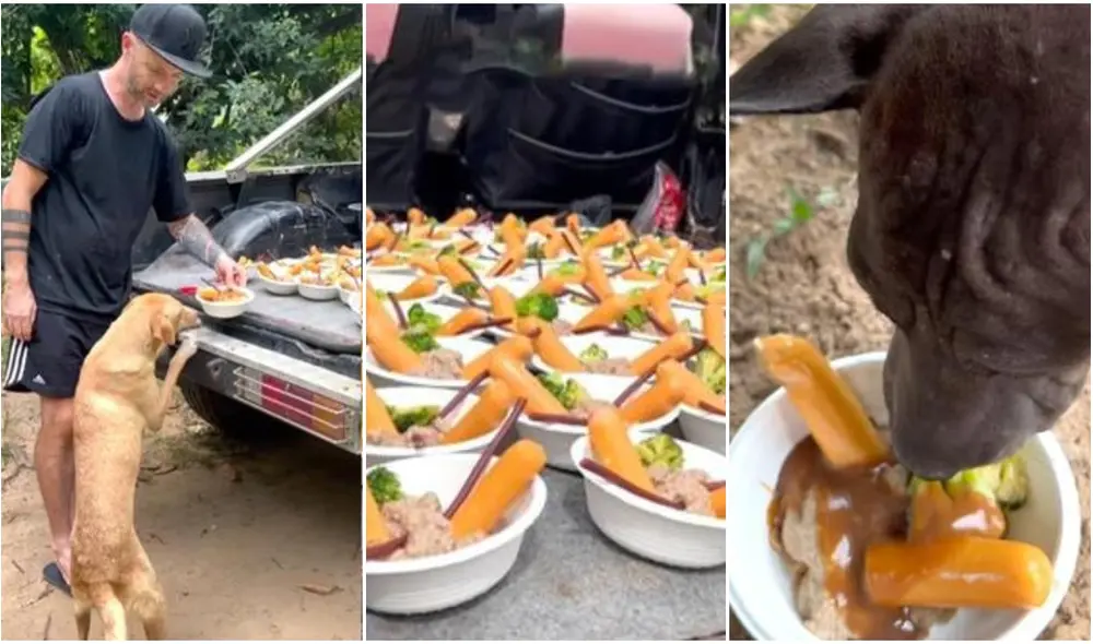 El joven dejó sin palabras a cientos de usuarios por su increíble labor. Video: @niall.harbison/ TikTok El joven dejó sin palabras a cientos de usuarios por su increíble labor. Video: @niall.harbison/ TikTok