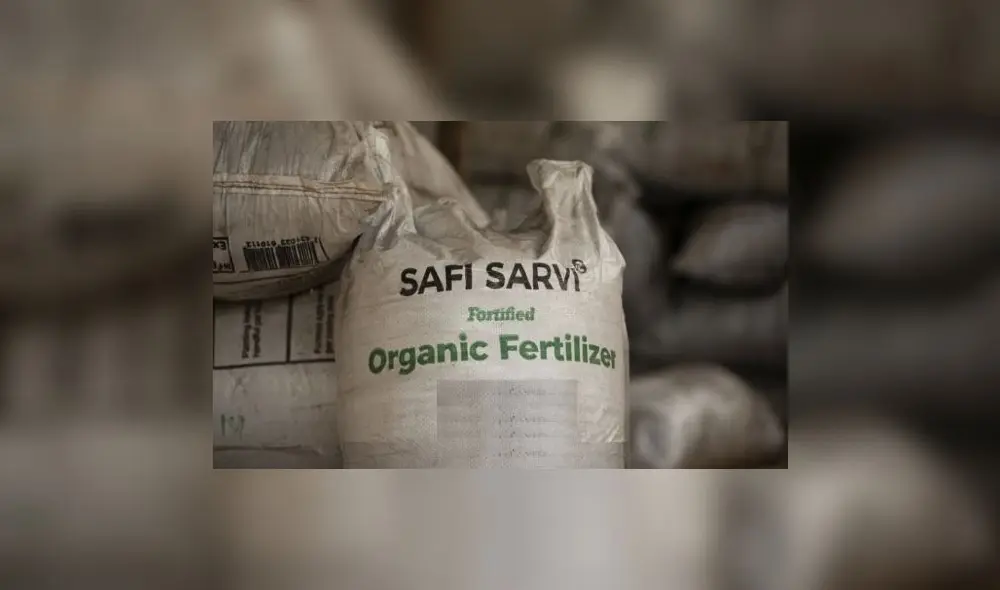 La urea es el fertilizante más utilizado en el mundo. Sus principales mercados están en Asia e India. En la Unión Europea, su uso es menor ya que Europa utiliza fertilizantes con mayor eficiencia y menores emisiones. Foto: Safi Organics La urea es el fertilizante más utilizado en el mundo. Sus principales mercados están en Asia e India. En la Unión Europea, su uso es menor ya que Europa utiliza fertilizantes con mayor eficiencia y menores emisiones. Foto: Safi Organics