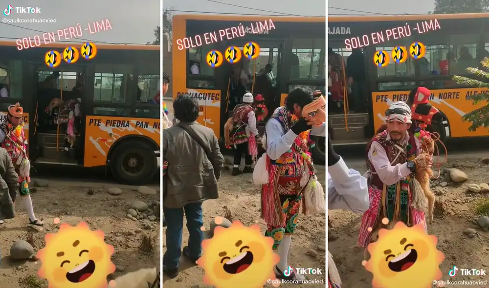 Miles de usuarios aplaudieron el gesto del chofer porque permitió que la llame viaje dentro del bus. Foto: composición LR/capturas de TikTok/@saukcorahuaovied