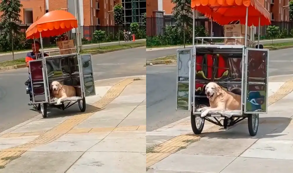 El perrito disfrutaba de un paseo mientras que ayuda a su dueño a vender. Foto: composición LR/ captura de TikTok/ @marcelarozo07 El perrito disfrutaba de un paseo mientras que ayuda a su dueño a vender. Foto: composición LR/ captura de TikTok/ @marcelarozo07
