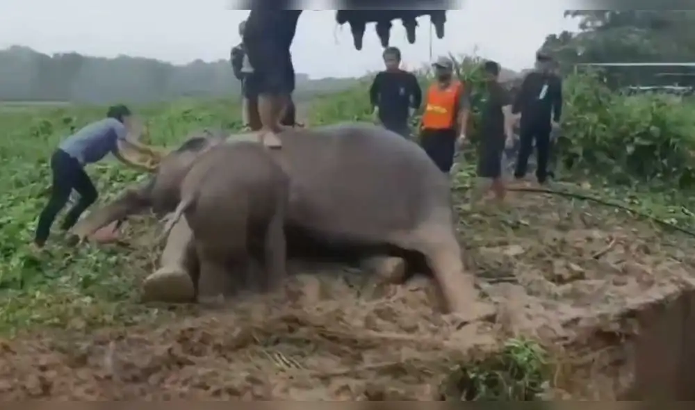 Los trabajos de rescate demoraron 3 horas, en medio de la lluvia y el lodo. Foto: @itvnews/Twitter Los trabajos de rescate demoraron 3 horas, en medio de la lluvia y el lodo. Foto: @itvnews/Twitter