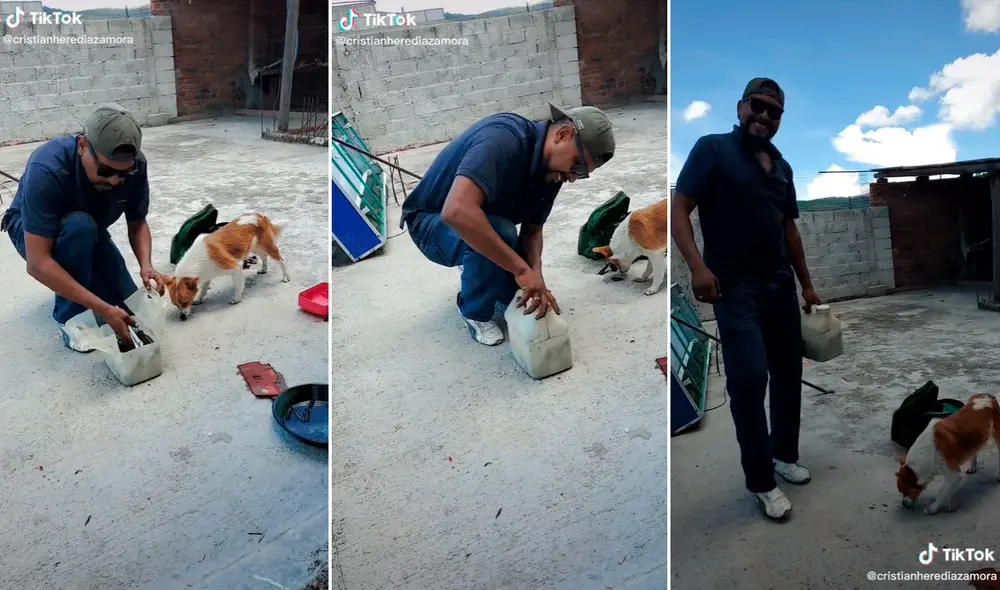 La novedosa creación del hombre fue aplaudida en redes por apoyar en la conservación del medio ambiente. Foto: composición LR/captura de TikTok/@cristianherediazamora La novedosa creación del hombre fue aplaudida en redes por apoyar en la conservación del medio ambiente. Foto: composición LR/captura de TikTok/@cristianherediazamora
