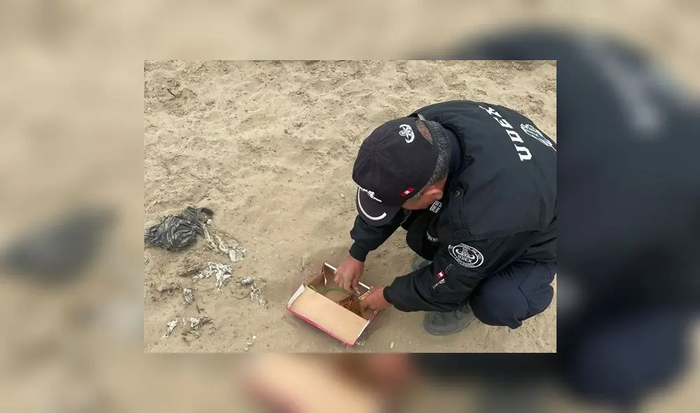 Efectivos de la USE reciben llamadas para desactivar cargas explosivas. Foto: La República