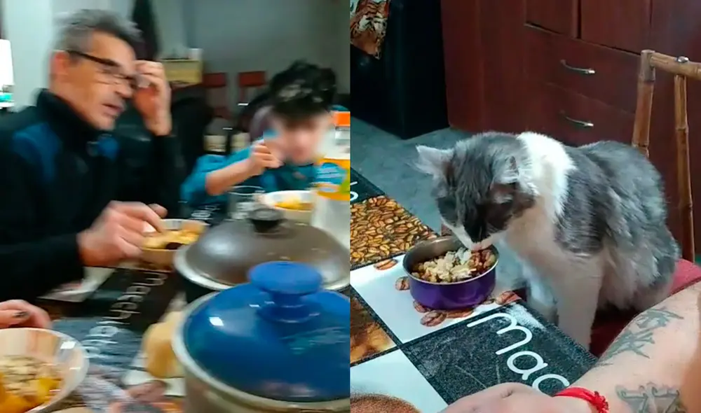 El video viral tiene más de un millón de visualizaciones. Foto: composición LR/ captura de TikTok/ @abbi_chaves4