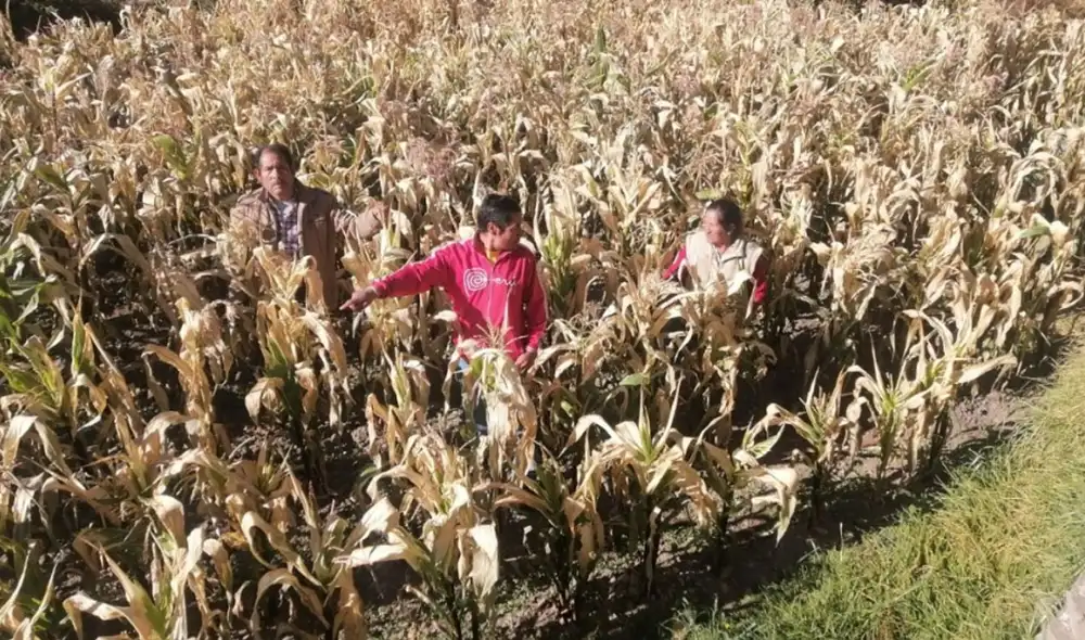 Las autoridades solicitarán bienes de ayuda humanitaria para la atención de las familias afectadas. Foto: COER Áncash