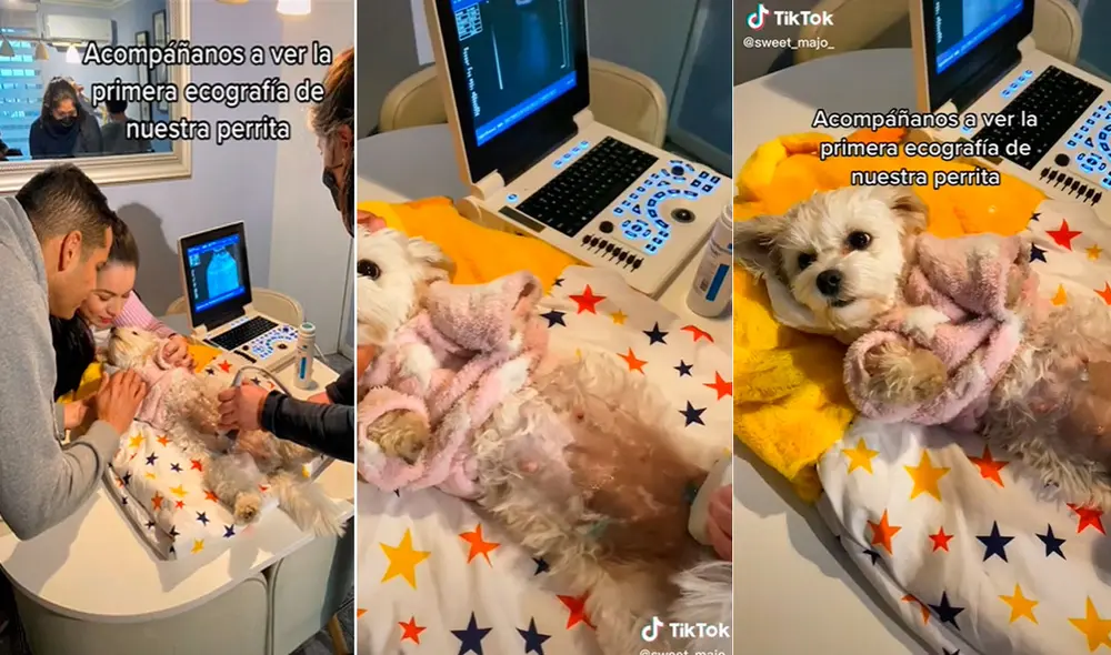 Miles de usuarios en TikTok quedaron conmovidos al conocer este caso. Foto: composición LR / captura de TikTok / @sweet_majo
