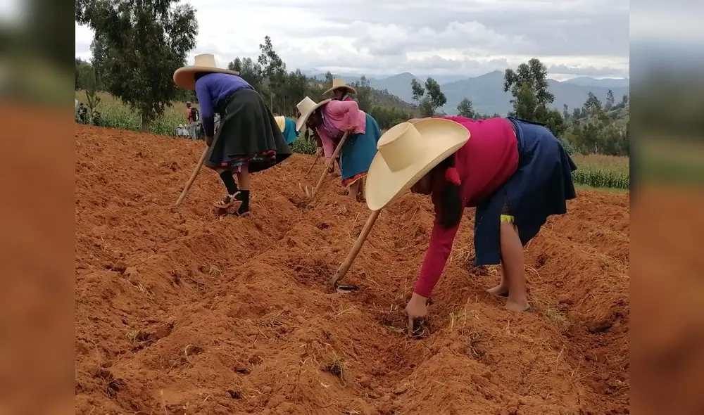 Plan de trabajo se desarrolla en Sánchez Carrión y Santiago de Chuco. Foto: Cedepas