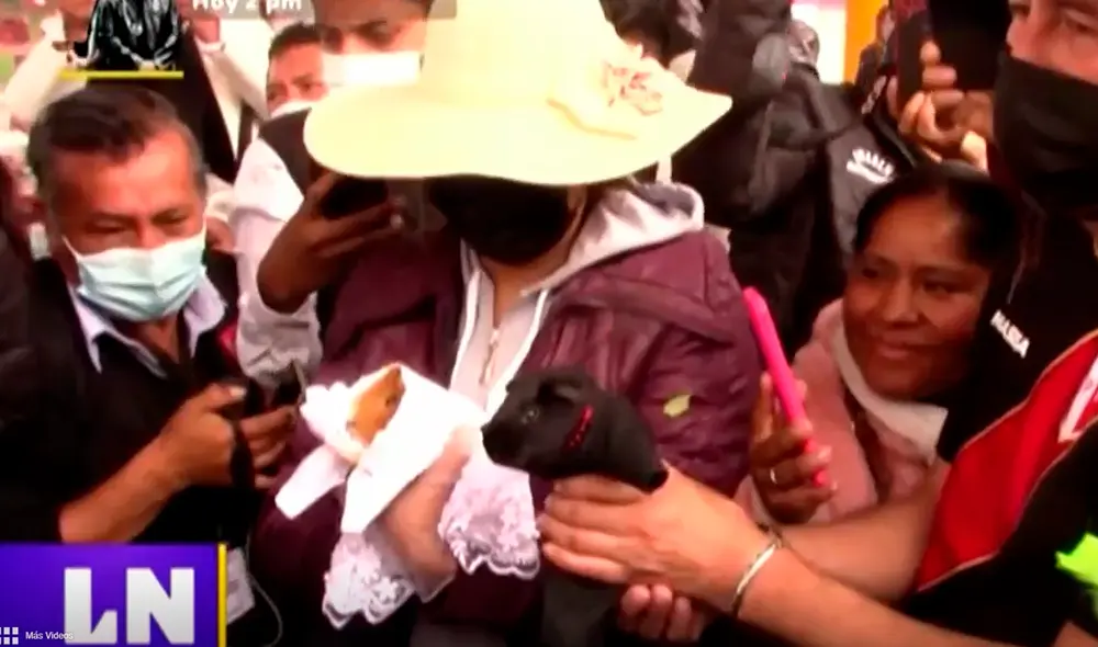 La singular boda entre una pareja de cuyes dio inicio al Festival Gastronómico de Huaycán. Foto captura Latina La singular boda entre una pareja de cuyes dio inicio al Festival Gastronómico de Huaycán. Foto captura Latina