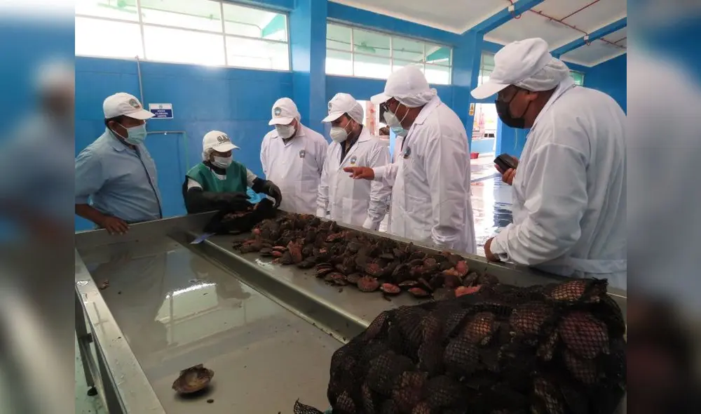 Los hombres de mar recibirán financiamiento para mejorar sus actividades. Foto: La República Los hombres de mar recibirán financiamiento para mejorar sus actividades. Foto: La República