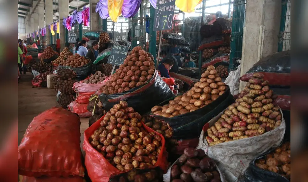Ingresaron 1.202 toneladas de papa, cifra que experimentó un descenso de 34,4% en relación a los cuatro últimos martes. Foto: Andina Ingresaron 1.202 toneladas de papa, cifra que experimentó un descenso de 34,4% en relación a los cuatro últimos martes. Foto: Andina