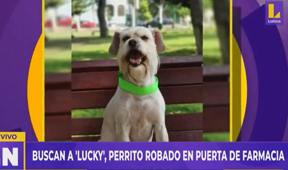 Familia pide que cualquier información se comuniquen al 990 410 719. Foto: captura de Latina Familia pide que cualquier información se comuniquen al 990 410 719. Foto: captura de Latina