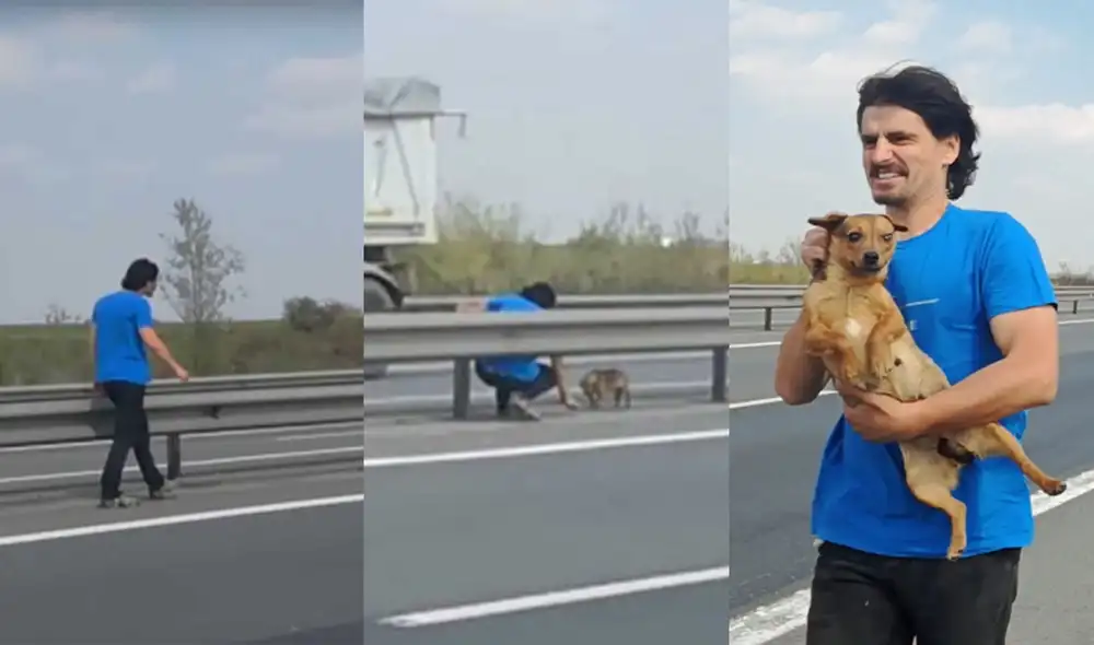 Ovidiu llamó a la perrita Berta y la mantendrá en su casa. Foto: composición LR/captura de YouTube /Caters Clip Ovidiu llamó a la perrita Berta y la mantendrá en su casa. Foto: composición LR/captura de YouTube /Caters Clip