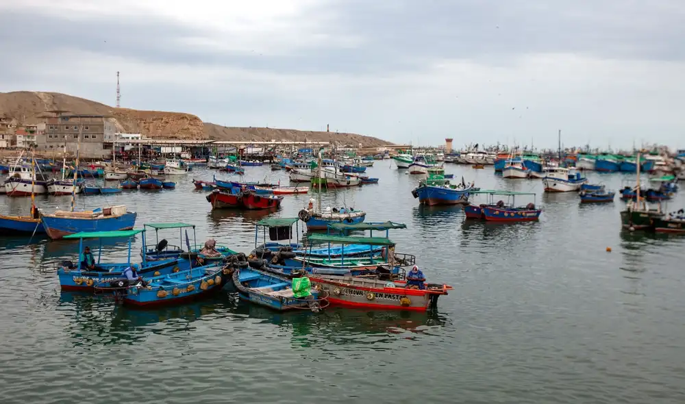 Flota artesanal en peligro. Foto: Erin Skoczylas / SPDA Flota artesanal en peligro. Foto: Erin Skoczylas / SPDA